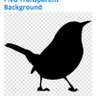 Herr Vogele profil fotoğrafı