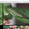 Фото профиля Claudia Walton