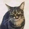 Gato Migrañas 的头像