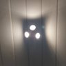 payot's profile picture