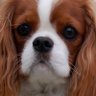 Profilbild von Stephanie Hart