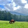 Фото профиля Carolyn McCall