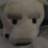 Profilbild von ミーコ