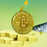bitcoin_path ⚡ 🇸🇻🧡 的头像