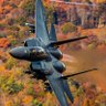 wa_iusa's profile picture