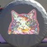 WorstCat profil fotoğrafı