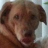 tecloam's profile picture