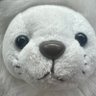 ごんた profil fotoğrafı