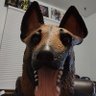 Jay Hill's profile picture