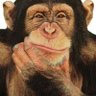 Encrypted Earth's profile picture