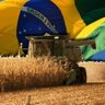 Фото профиля Agro Do Brasil 🇧🇷🚜🚜🚜🇧🇷