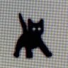 Bobby Tables's profile picture