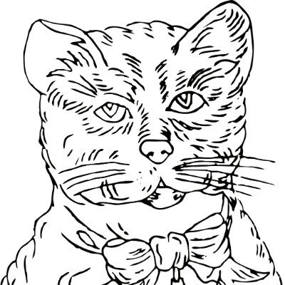 raycat2021's profile picture