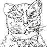 Фото профиля 徐老猫