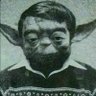 Yoda The Great's profile picture