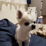 野に咲く花子 的头像