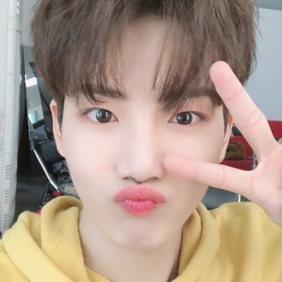 도롱's profile picture