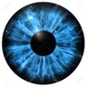 Sigfrido profil fotoğrafı