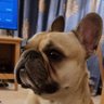 mattshq's profile picture