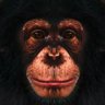Gomex's profile picture