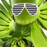 ExposeDemCorruptiom's profile picture