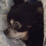 Ella's side-eye profil fotoğrafı