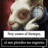 El más Fifí profil fotoğrafı
