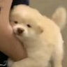 汪灿烂人生 profil fotoğrafı