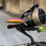 シーバス釣りたい…'s profile picture