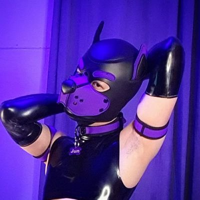 GoodBoiJun's profile picture