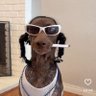 Snopydog profil fotoğrafı
