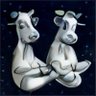 Profilbild von HeftyJo