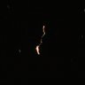 Kodiakbear1966's profile picture