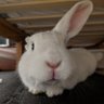Profilbild von mahnamahna