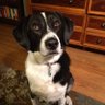 RetiredNotExpired's profile picture