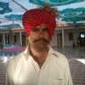 Prafullsinh Jadeja's profile picture