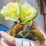 Фото профиля キュンちゃんのママ