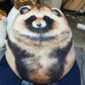 もつなべ(遺伝子組み換え済)'s profile picture