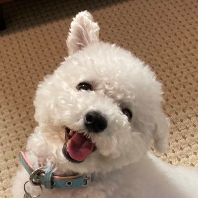 くるるのママ's profile picture