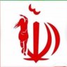 Ali Sarshar's profile picture