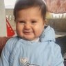 Shir Mohammad's profile picture