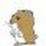 Solidarischerhamster 🚩's profile picture