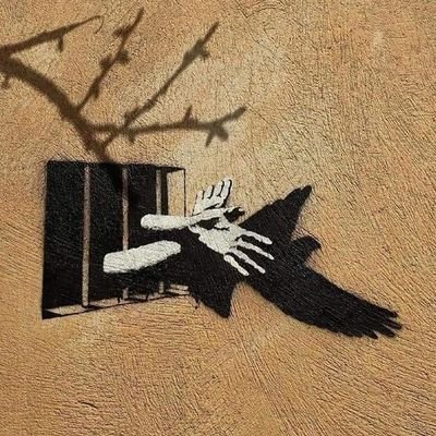 lena_neva's profile picture