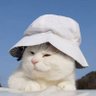 ʙᴇʟʟ's profile picture