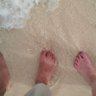 Alex Desilets's profile picture