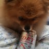 あーたんパパ 的头像