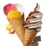 Bac de glace's profile picture