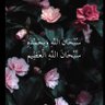 Noha Rabea's profile picture