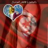 Profilbild von Boutheina Abrougui