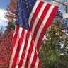 Oldglory1 的头像
